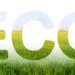 Eco inscription on the background of young green wheat plantation field.