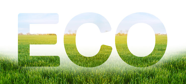 Eco inscription on the background of young green wheat plantation field.
